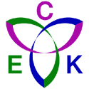 CEK Technology logo