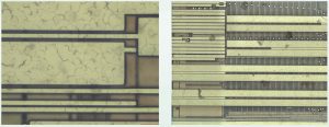 Example images of the extended field of view with the microscope OptoNano 200